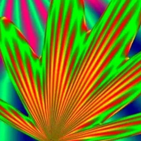 Nuttin honey(atm)... - Picture 8 of 9